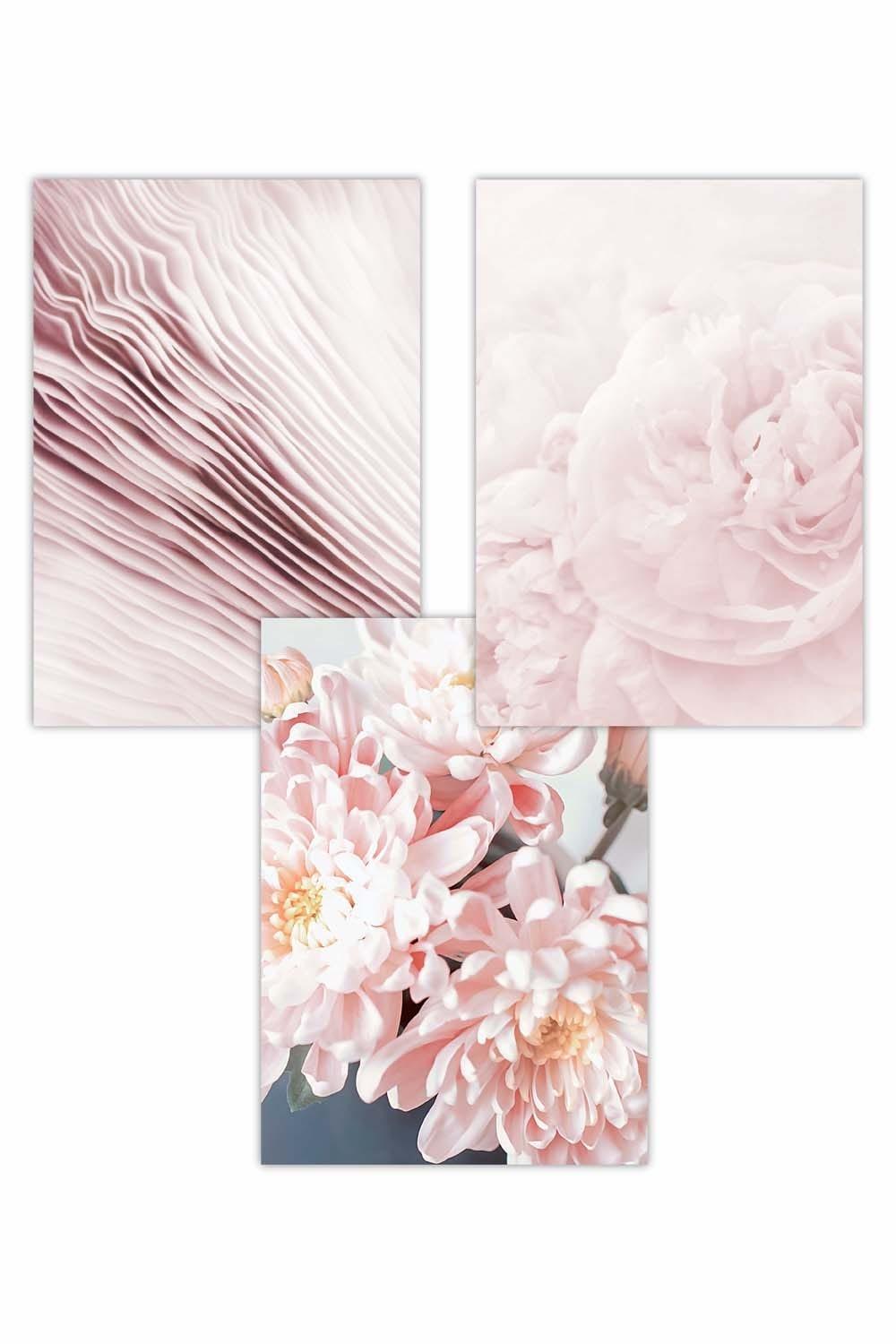 Set of 3 Abstract Pink Macro Floral Art Posters